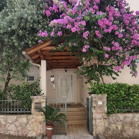 Apartments Maris Petrovac エクステリア 写真