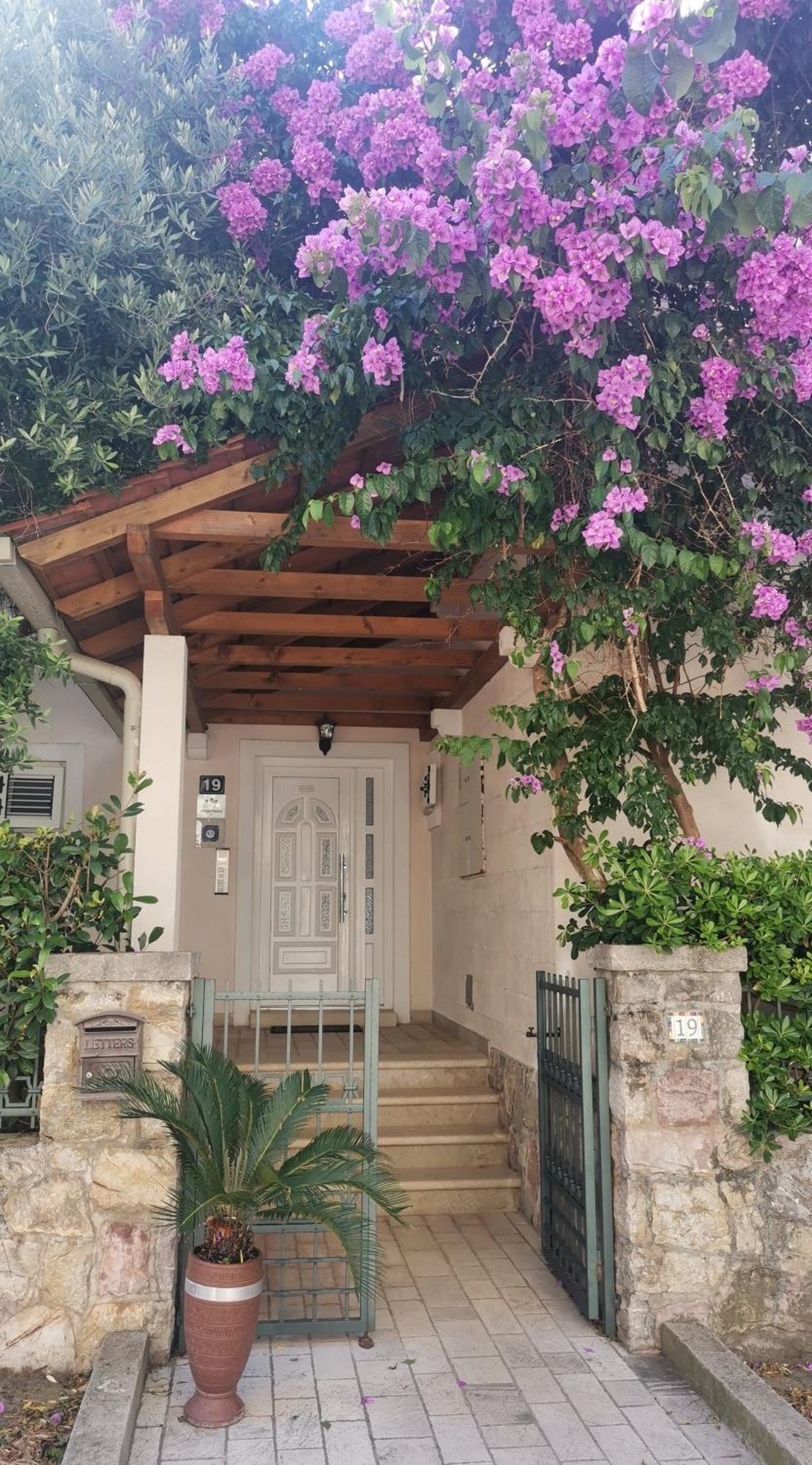 Apartments Maris Petrovac エクステリア 写真