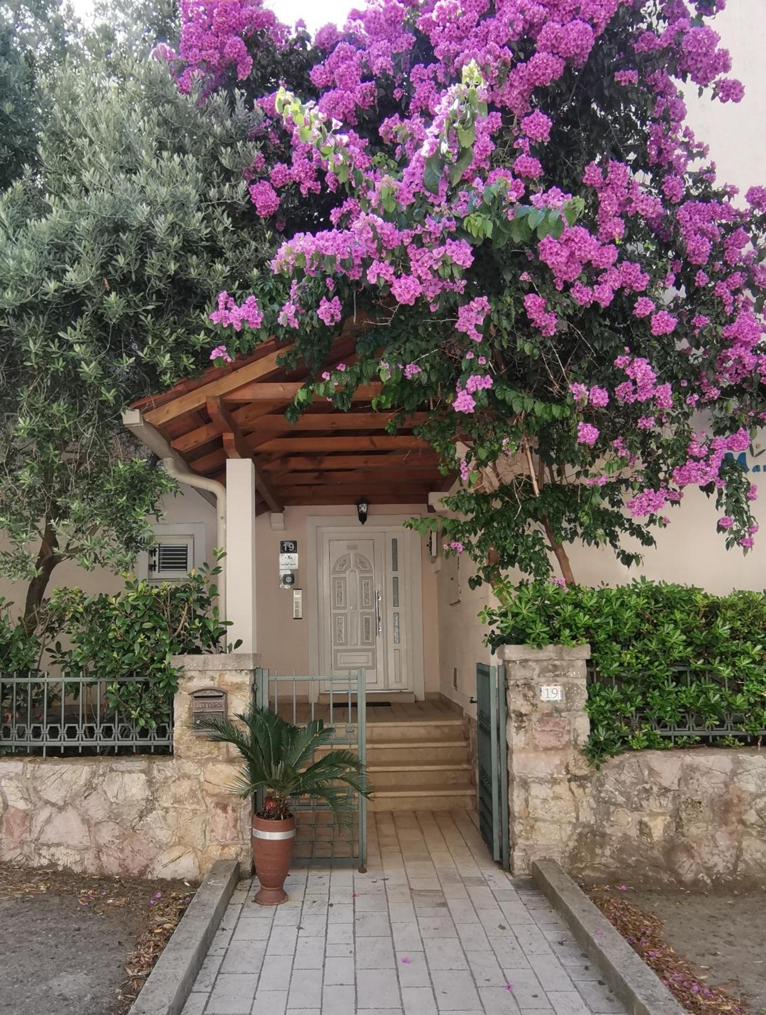 Apartments Maris Petrovac エクステリア 写真