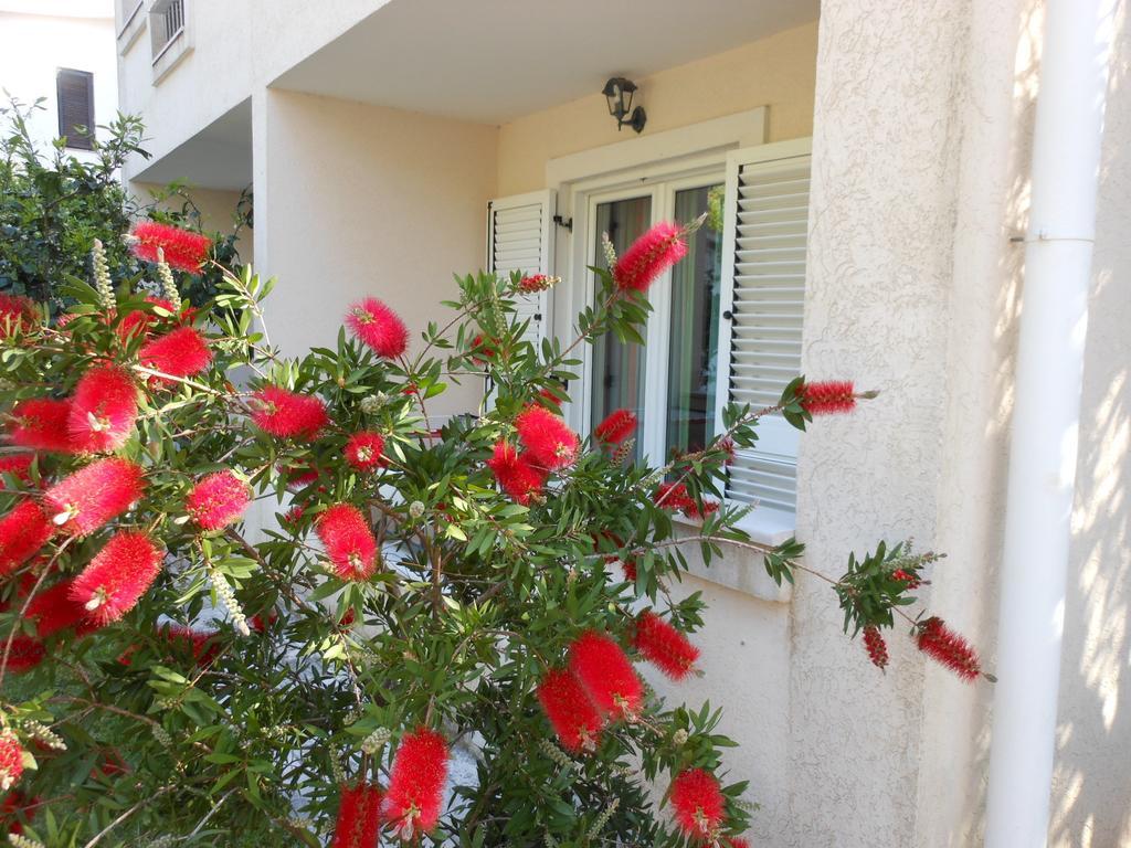 Apartments Maris Petrovac 部屋 写真